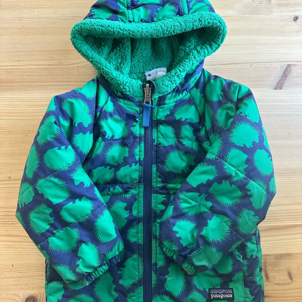 Patagonia Kids' Green and Blue Puffer Jacket
